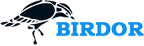 Pro Academy UG Logo